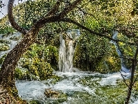 Wodospad, Chorwacja, Park Narodowy Jezior Plitvickich, Drzewa