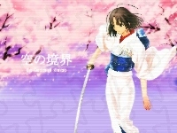 ciemne włosy, Sakura Wars, miecz