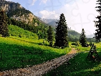 Ścieżka, Ruiny, Niemcy, Góry, Zamku, Schwangau