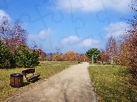 Ławka, Park, Ścieżka, Drzewa