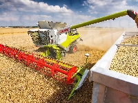 Przyczepa, Pole, Kombajn Claas Lexion 780, Żniwa