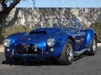 Shelby Cobra, 1965