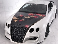 Bentley Continental, Tuning