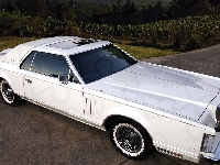 Lincoln, Mark V, Continental, Drzewa, Droga