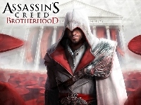 Assassins Creed, Brotherhood