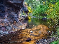 Rzeka, Skały, Drzewa, Sedona, Arizona, Las, West Fork Oak Creek, Stany Zjednoczone