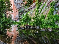 Wąwóz, Arizona, Stany Zjednoczone, Sedona, Oak Creek, Drzewa, Roślinność, Skały, Rzeka