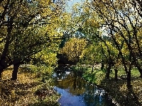 Creek, Park, Morses, Wiosna