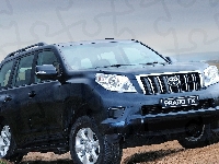 Land, Samochód, Toyota, Cruiser