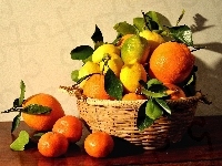 Pomarańcze, Cytryny, Koszyk