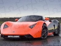 Czarna, Pomarańczowo, Marussia B1