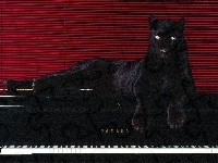 Pantera, Czarna, Pianino