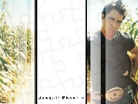 czarna koszulka, Joaquin Phoenix, pasek
