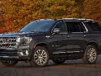 2021, Czarne, GMC Yukon Denali