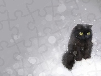 Kot, Czarny, Śnieg