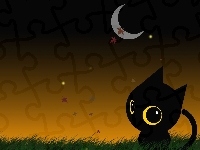 Kotek, Czarny, Księżyc