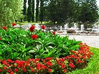 Czerwone, Fontanna, Park, Klomb, Kwiaty