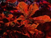 Liście, Czerwone, Fractalius