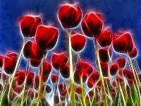 Tulipany, Czerwone, 3D
