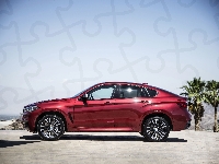 Czerwone, BMW X6