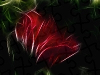 Kwiat, Czerwony, 3D