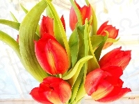 Tulipany, Czerwony, Bukiet
