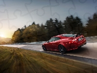 Jaguar, Czerwony, XK, Drzewa, Droga