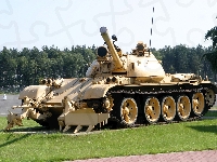 Drzewa, Czołg, T-55, Trawa