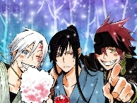 Lavi, D.Gray-Man, Allen Walker, Kanda Yuu