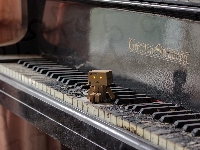 Danbo, Pianino