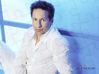 David Duchovny, biała koszula