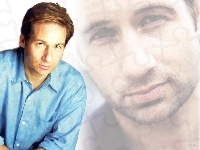 David Duchovny, błękitna koszula