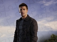 David Boreanaz