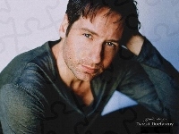 David Duchovny, ciemna bluzka