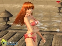 Dead Or Alive Xtreme 2, Kasumi