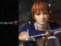 Dead Of Alive 5, Kasumi