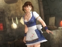 Dead Or Alive 5, Lei Fang