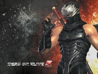 Dead Of Alive 5, Ryu Hayabusa