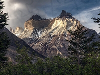 Rzeka, Góry, Park Narodowy Torres Del Paine, Cordillera del Paine, Skała, Patagonia, Chile, Masyw Torres del Paine, Drzewo