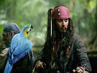 papuga, Johnny Depp, piraci_z_karaibow_2