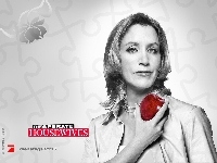 Desperate Housewives, Felicity Huffman