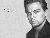 Leonardo DiCaprio, bródka