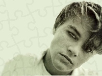 Leonardo DiCaprio, twarz