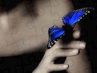 Dłoń, Motyl