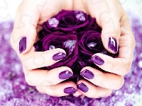 Purpurowe, Dłonie, Róże
