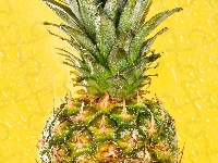 Ananas, Dojrzały, Owoc, Tło, Żółte