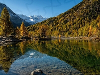 Dolina Engadyna, Szwajcaria, Odbicie, Góry, Jezioro, Drzewa, Jesień, Kolorowe