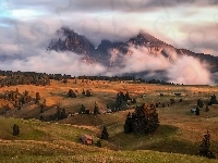 Dolomity, Dolina, Domy, Mgła, Włochy, Góry Alpy, Lasy