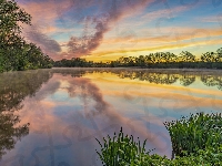 Dolina Wittlicha, Chmury, Wschód słońca, Drzewa, Niemcy, Jezioro Sterenbachsee