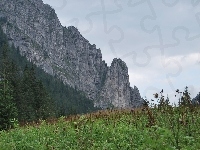 Dolina Kościeliska, Tatry, Szczyty